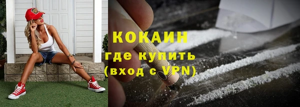 сатива Зерноград