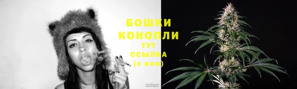 прущий лед Заводоуковск