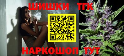 индика Малгобек