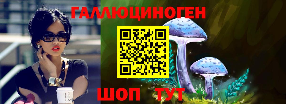 Псилоцибиновые грибы ЛСД Зеленогорск