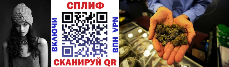 ссылка на мегу ССЫЛКА  Зеленогорск  Каннабис Bruce Banner  где купить наркоту 